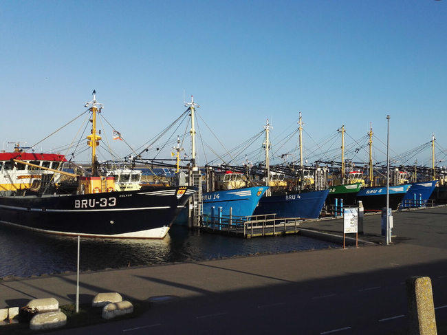 Haus bruinisse fischereihafen